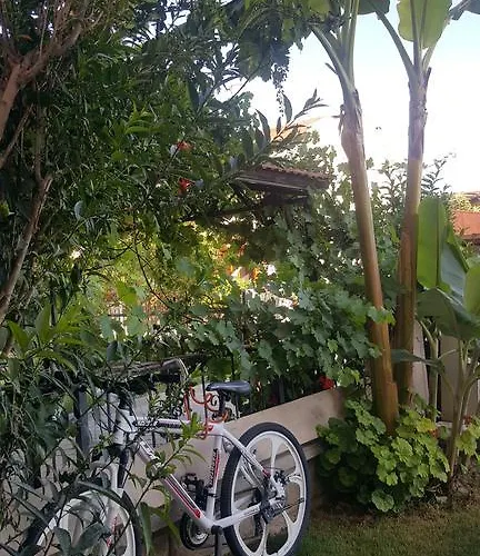 Lejlighedshotel Burak Apart *